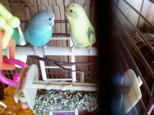 Belle and Sparty