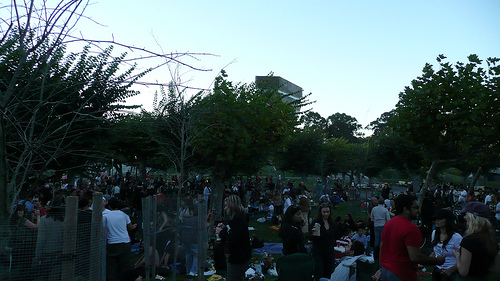 the lawn at the Sunset Party