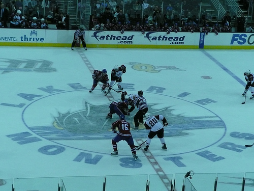 Lake Erie Monsters game