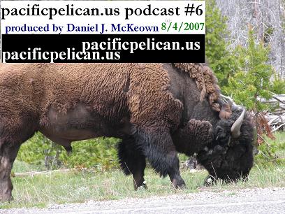 pacificpelican.us podcast #6 - .mpg video file