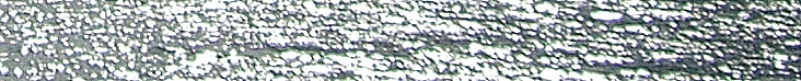 PacificPelican.us