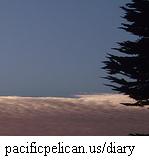 pacificpelican.us/diary